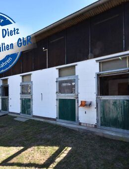 DIETZ: Platz Für Ross und Reiter! Wohnhaus + Gewerbegebäude mit 6 Pferdestallungen! In Feldrandnähe! - Babenhausen (Hessen)