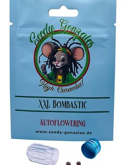 XXL Bombastic Automatic 3 Samen - Sinzig