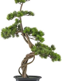 Kunstbonsai Bonsai Kiefer, Creativ green, Höhe 70 cm, mit elegantem Stamm