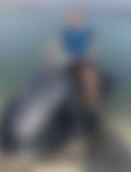 Max*** - Frankfurt (Main)