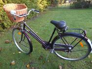 28 Zoll AMSTERDAM Damen-Hollandfahrrad - Müden (Aller)