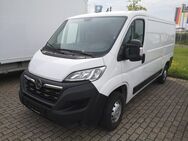 Opel Movano, 3.5 L2H1 t RKam Totwin, Jahr 2022 - Rüsselsheim