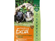 Burgess Excel Adult Meerschweinchen-Nuggets mit Minze - 9 kg