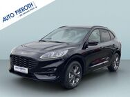 Ford Kuga, 2.5 Duratec FHEV ST-LINE X, Jahr 2024 - Bingen (Rhein)