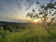 Natur Pur, gute ruhige Lage, magischer Blick, gehobene Innenausstattung, nach Renovierung - Wackernheim
