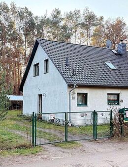 Raumwunder am Waldrand - viel Platz, viel Ruhe, viel Möglichkeiten - Borkwalde