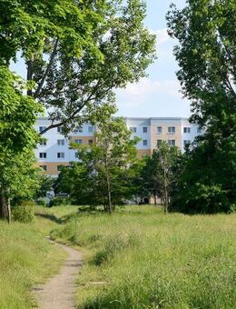 Hoch hinaus und den Ausblick genießen! - Cottbus