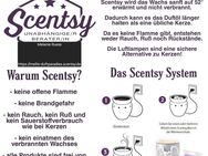 Scentsy Party - Lindenberg (Allgäu)