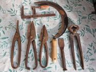 7 teiliges altes Werkzeug - Erkner