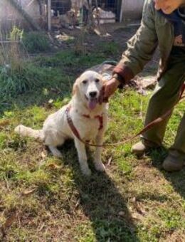 Gea und Astra-zwei Schwestern suchen - Marienfließ
