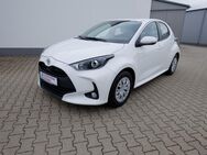 Toyota Yaris, 1.5 I-VVT-i, Jahr 2023 - Coburg