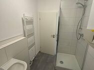 neu sanierte 1-Zimmer-Wohnung in direkter Innenstadtlage Ludwigshafens - Ludwigshafen (Rhein)
