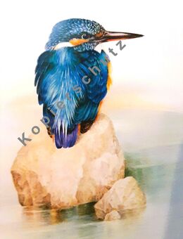 Rarität Aquarell Naturmotiv Eisvogel Reproduktion Kunstdruck - Lüneburg
