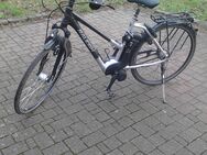 Raleigh Impulse 2.0, 28" Zoll, 8- Gang Pedelec, E-Bike - Malsfeld