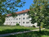Modernisierte Eigentumswohnung ohne Käuferprovision - Halle (Saale)