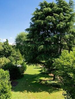 In sehr guter Lage mit 400 m²-Garten: Großzügige 4-Zimmer-Wohnung im EG eines gepflegten 3-FH - Frankfurt (Main)