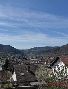 EBERBACH! Grundsolide mit unverbaubaren Aussichten! - Eberbach