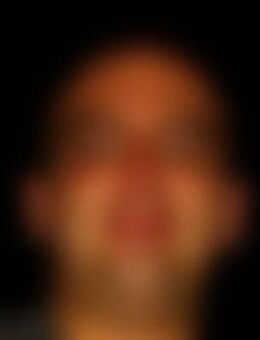 Den*** - Halberstadt