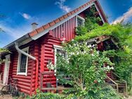 Energiesparendes HONKA-Holzhaus mit Carports und Garten in Borth - Rheinberg