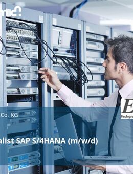 ERP-Spezialist SAP S/4HANA (m/w/d) - Handewitt