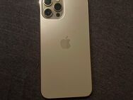 iPhone 12 Pro Max - Meinhard