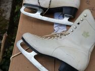 Rollschuhe und Schier zu verkaufen Größe 39 - Dillenburg