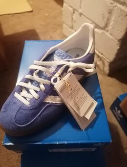 Adidas Gazelle Gr. 38 und 39 (Neu) - Sankt Augustin Zentrum