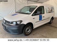 VW Caddy Maxi Kasten AHK/PDC/FLÜGELTÜREN - Steinbach-Hallenberg