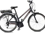 E-Bike Pedelec Prophete STRATOS Alu, 50cm Rahmenhöhe, Samsung Lithium Akku 36V, 250W, 10Ah, 8 Gänge mit Freilauf und Anfahrhilfe - Fürth