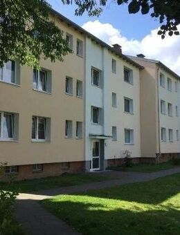 2 Zimmer-Wohnung mit Balkon in Stieghorst zu vermieten - Bielefeld
