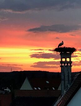 Wir suchen für vorgemerkte Kunden Häuser, Wohnungen und Grundstücke - Heroldsbach