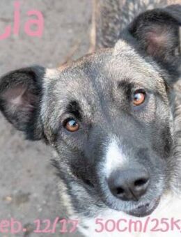 Lia: unsere Lady - Rinteln