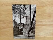 Ansichtskarte-AK-696-Herrenalb-Beim Kloster. - Nörvenich