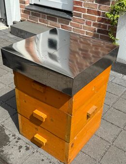 Bienenbeute Deutsch Normal für 10 Rähmchen - Kalkar