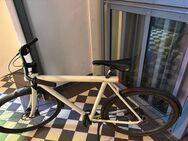Vanmoof Smart S Fog White 2018 DEFEKT - München