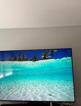 mein Samsung Crystal UHD 4K DU7179 Fernseher 65 Zoll - Rheinfelden (Baden)