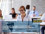 Key-Account-Manager (m/w/d) EXCOR Südliches Baden-Württemberg und Teile der Schweiz - Freiburg (Breisgau)