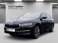 Skoda Octavia, 2.0 TDI Combi Tour, Jahr 2022 - Schlüchtern