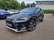 Lexus NX 300h Style Edition Leder/Navi/TWW - Nürtingen