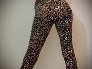 Coole Leggings Leo - Detmold