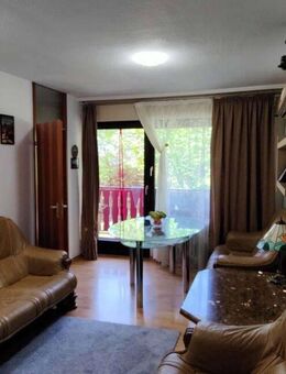Gemütliche 1-Zimmer-Wohnung im Gaishöllpark inkl. Kellerabteil und Balkon - Sasbachwalden