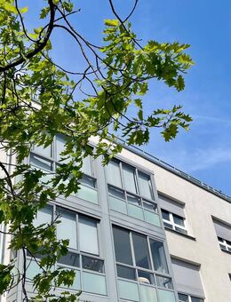 Provisionsfrei! Seniorengerechtes Penthouse mit großer Dachterrasse in Südausrichtung - Nürnberg