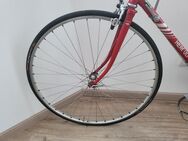 2 Stück Continental Super Sport Plus 25-622, Slick-Profil-Rennrad-Reifen, keine 100 km gefahren - Unterleinleiter