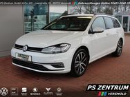 VW Golf Variant, 1.5 TSI Golf VII Highline, Jahr 2019 - Versmold