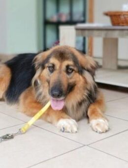 Ariella überlebte die Vergiftungsaktion - Mettmann