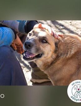 Jaro Jeder hat Liebe verdient - Kirchzell