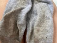 SOCKEN grau - Leopoldshöhe