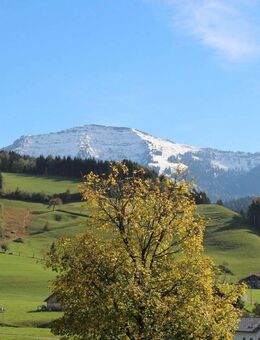 Privatverkauf EFH in Oberstaufen-Weißach - Oberstaufen