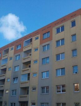 Geräumige 1-Raumwohnung sucht neuen Mieter! - Weimar