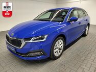 Skoda Octavia, Combi iV Canton 4xSHZ elektr, Jahr 2023 - Sülzetal